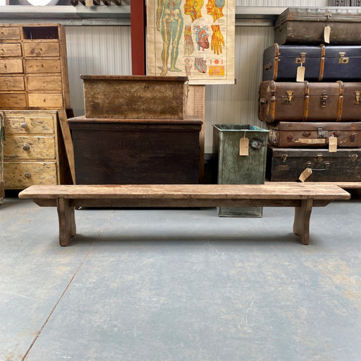 School Bench