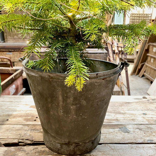 Galvanised Medium Bucket