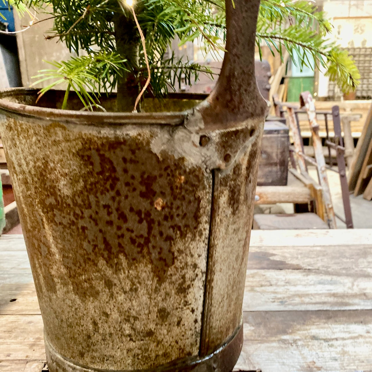 Galvanised Container With Upright Handle