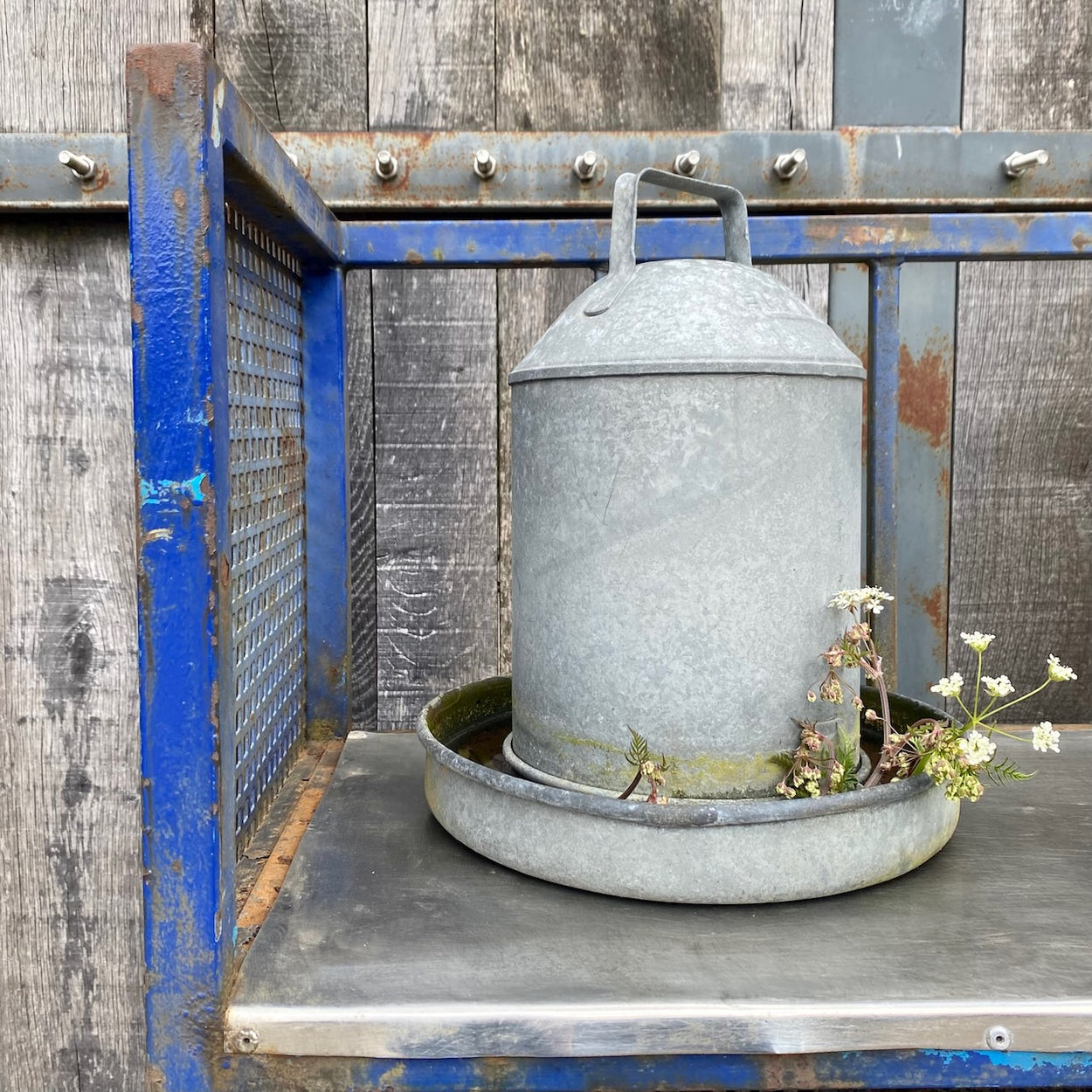 Industrial Factory Trolley 2