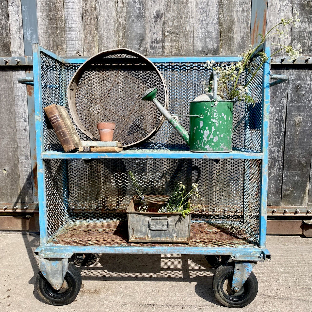 Industrial Factory Trolley 3