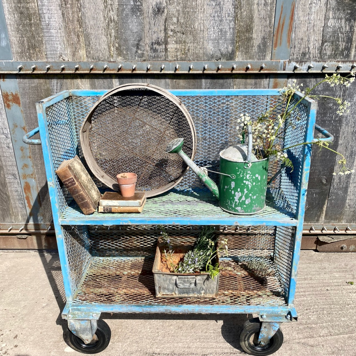 Industrial Factory Trolley 3