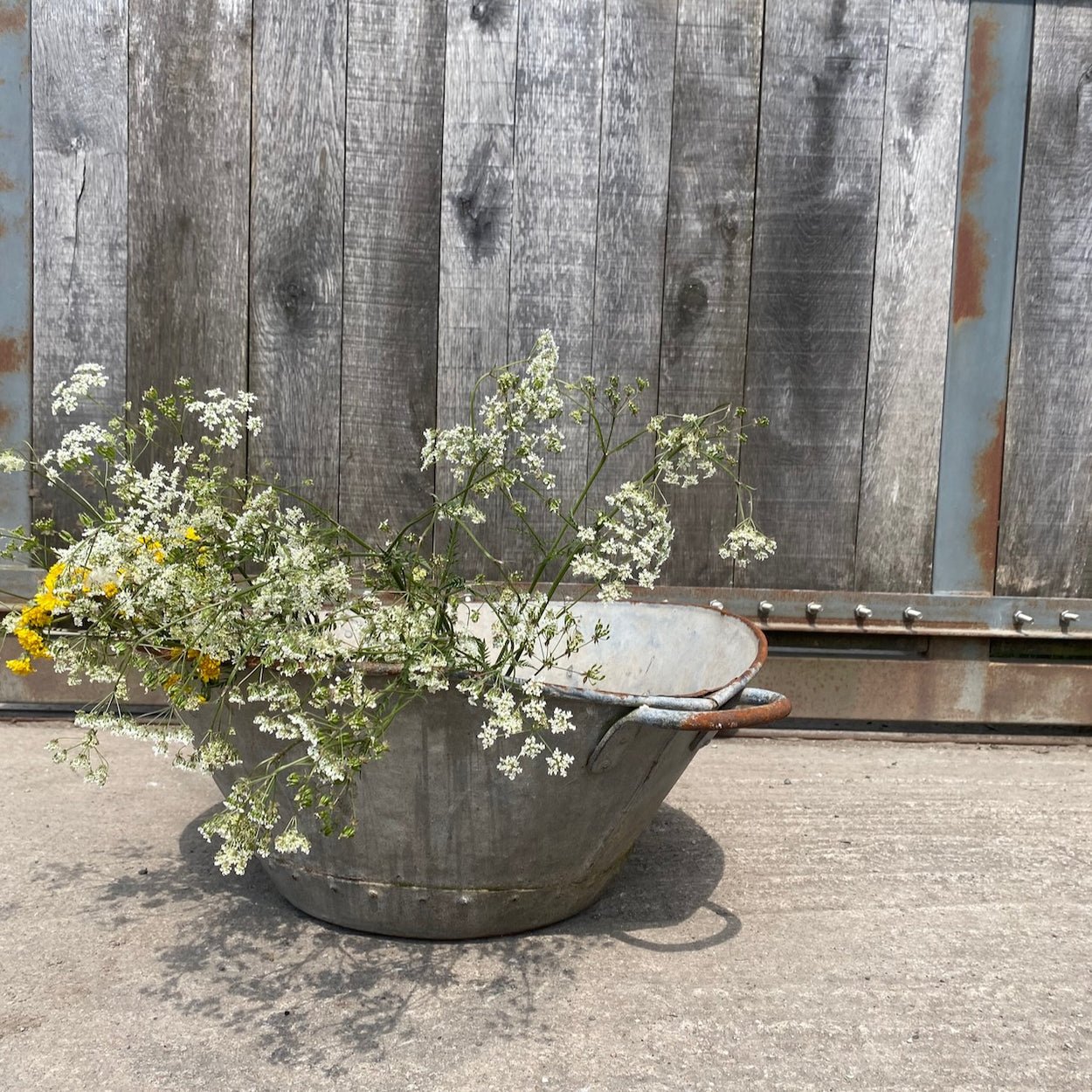 Wonky Oval Galvanised Bath/Planter