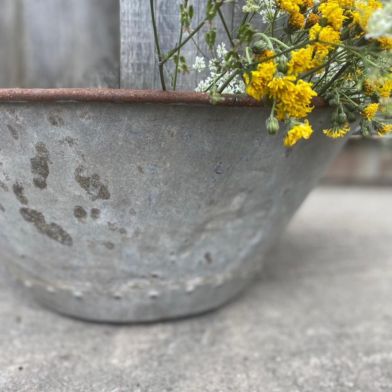 Wonky Oval Galvanised Bath/Planter