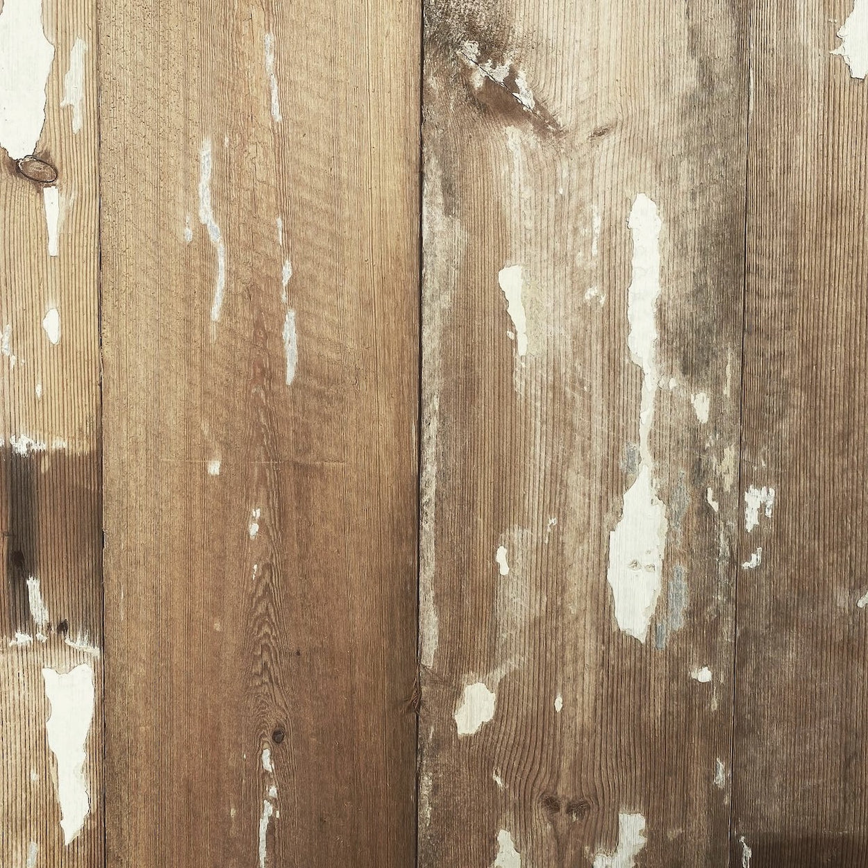 Painted Roof Boards