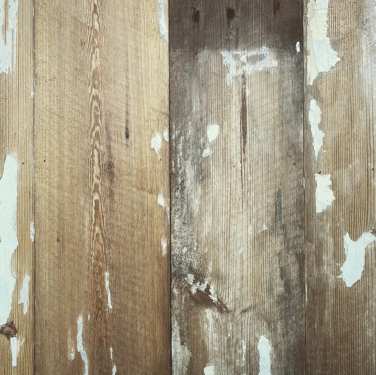 Painted Roof Boards