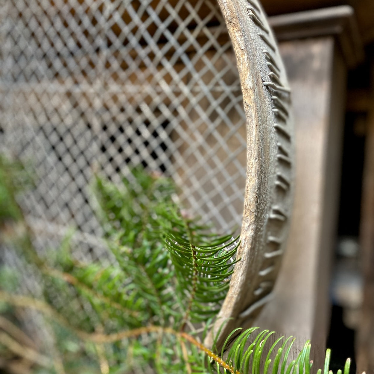 Large Vintage Sieve