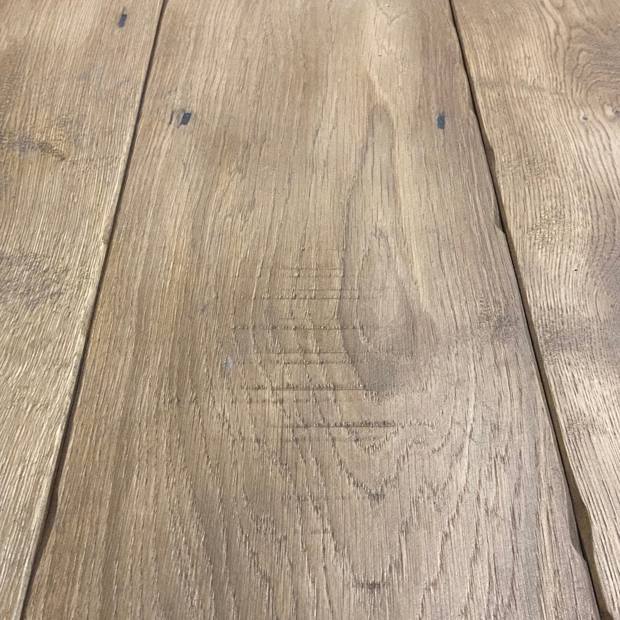 Harbour Oak