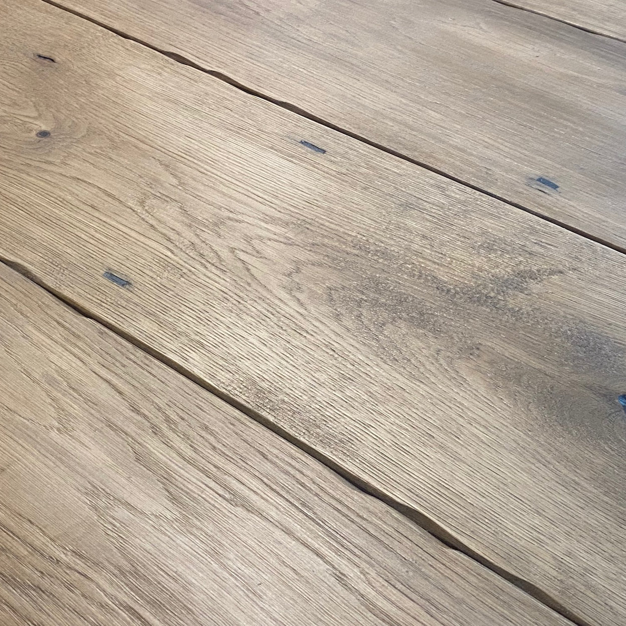 Harbour Oak