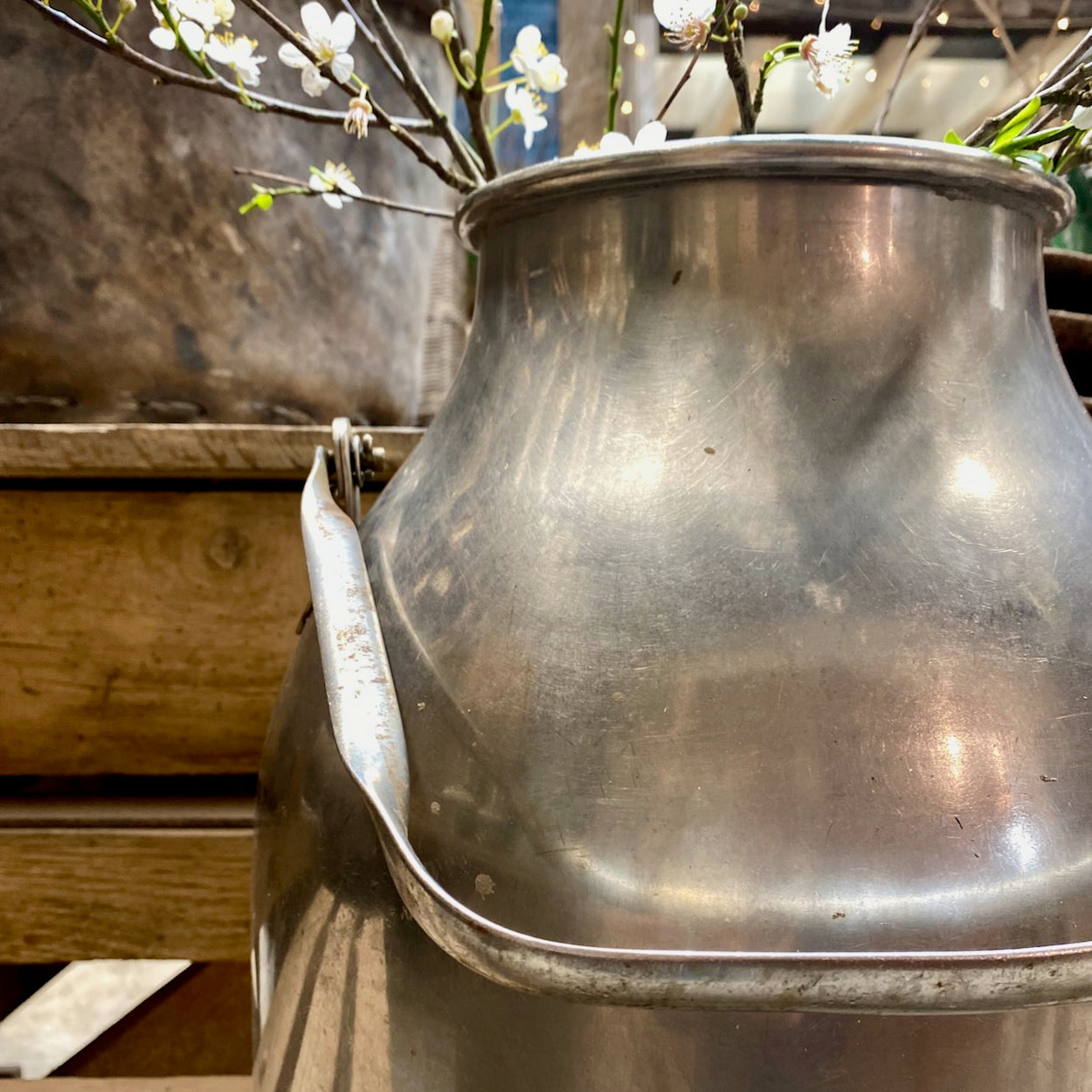 Two handled Vintage Stainless Steel Milk Churn