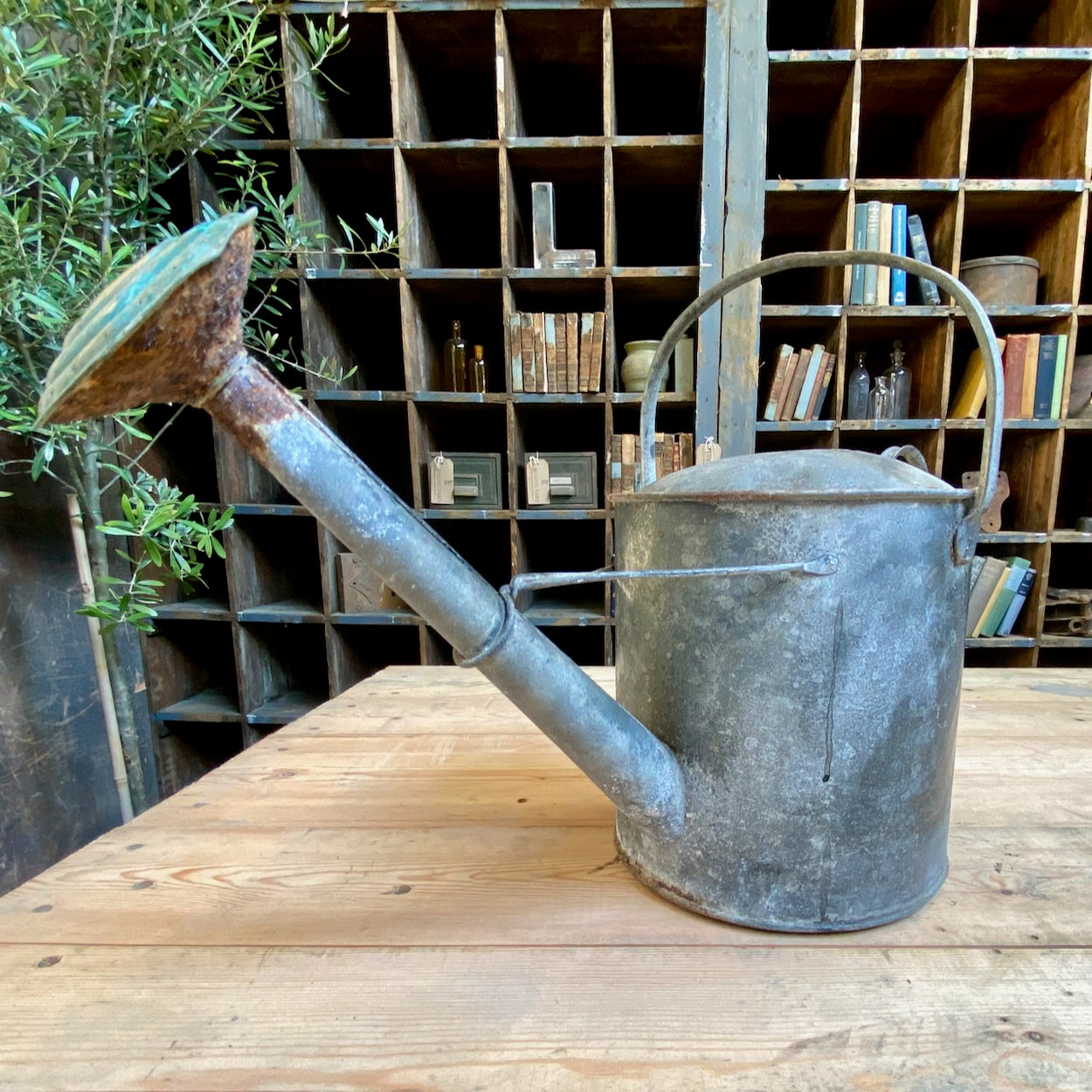 Galvanised Vintage Watering Can