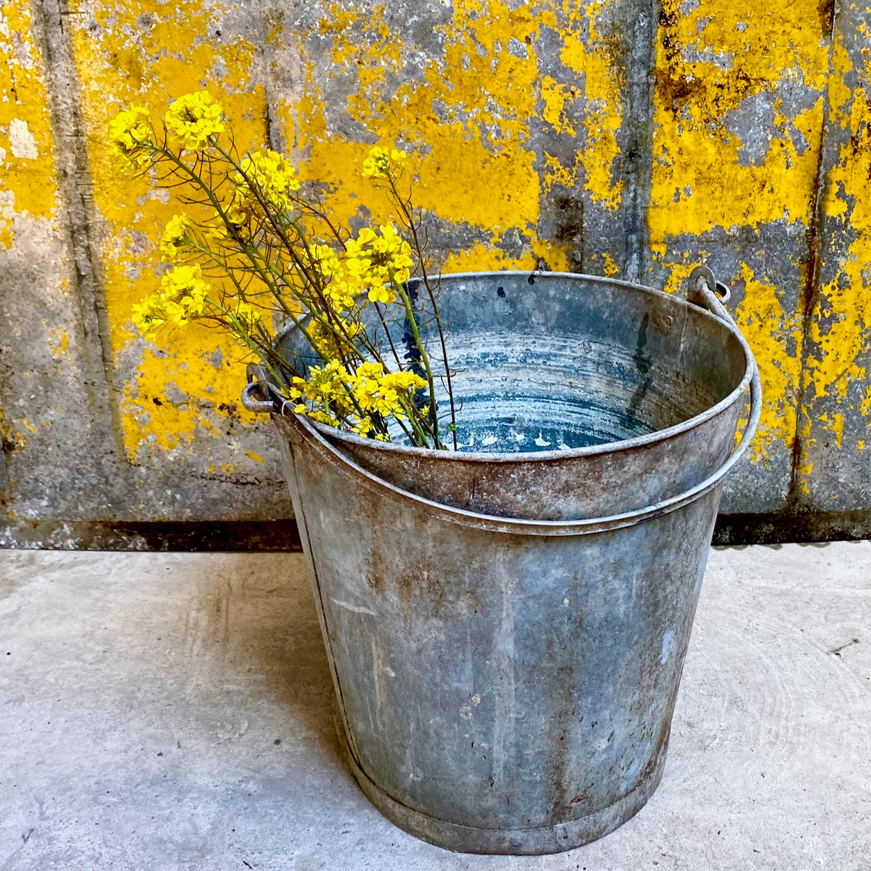 Pretty French Galvanised Bin