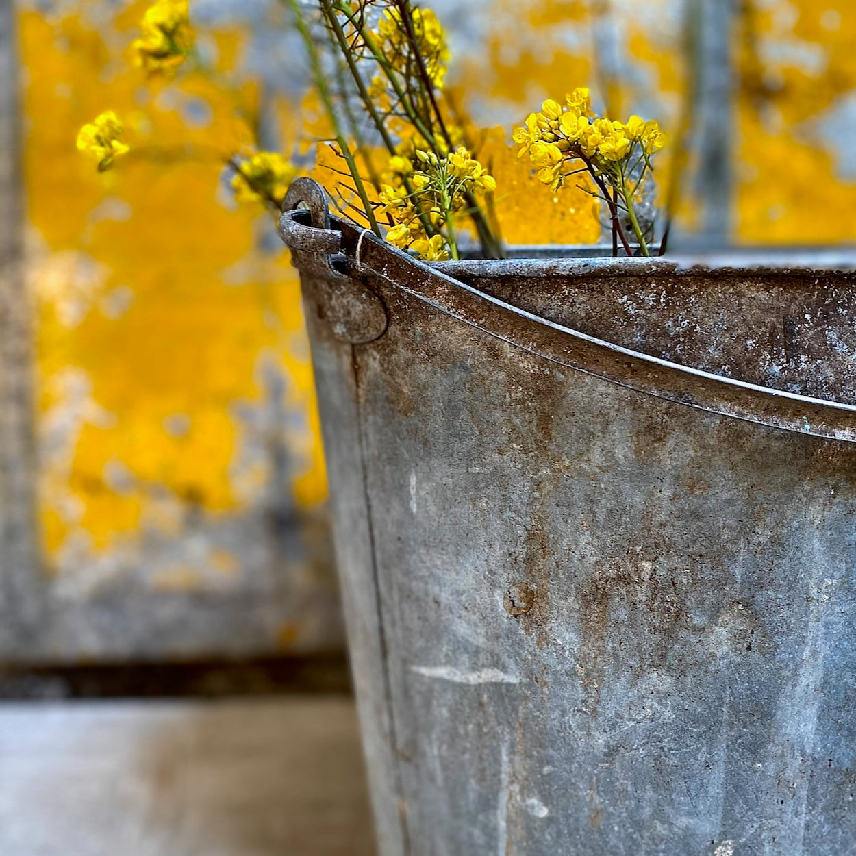Pretty French Galvanised Bin