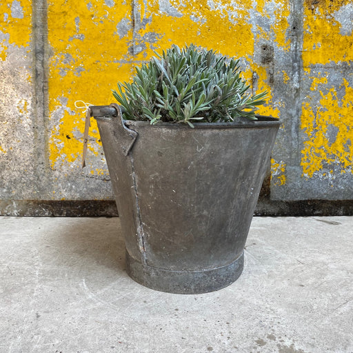 vintage galvanised bucket