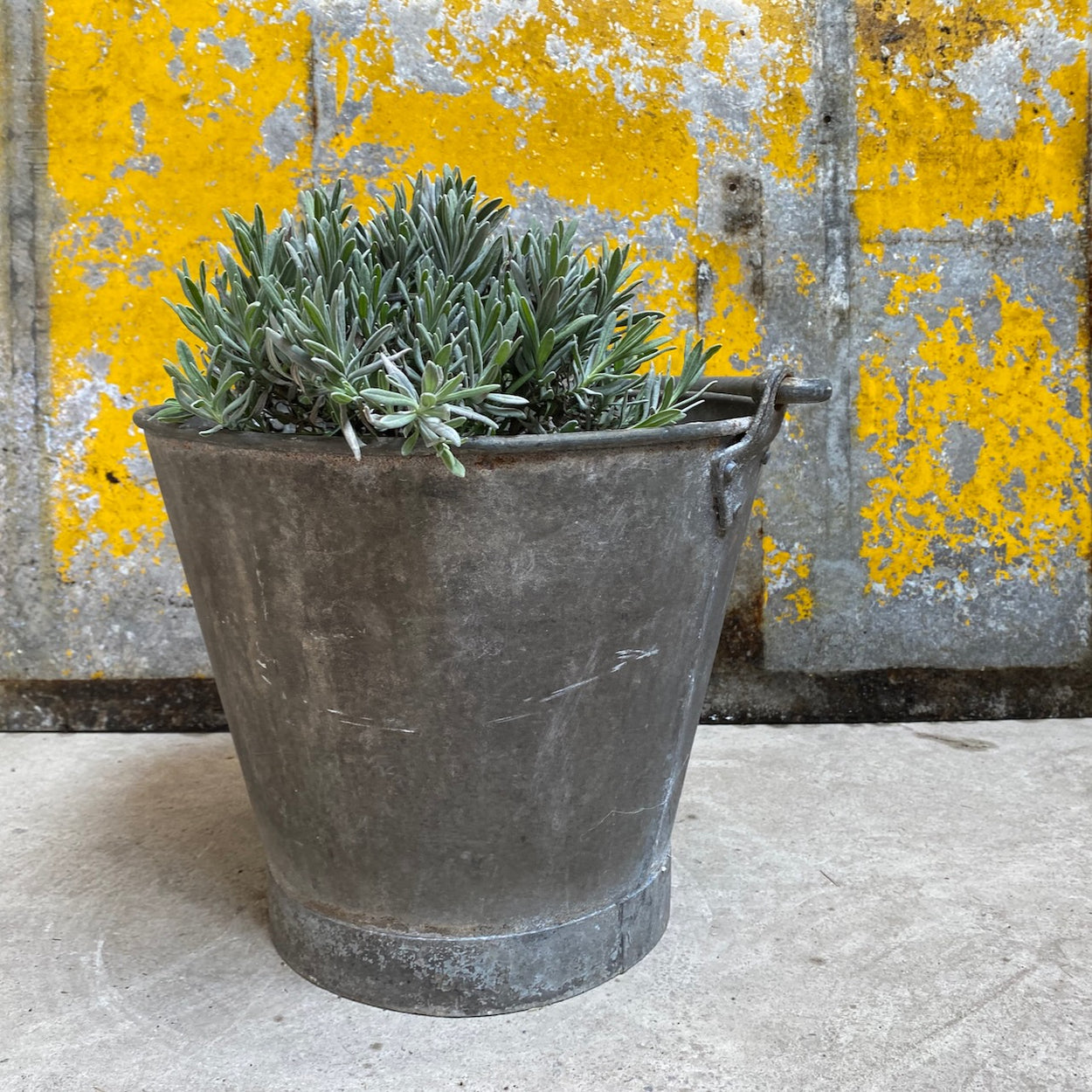 vintage galvanised bucket