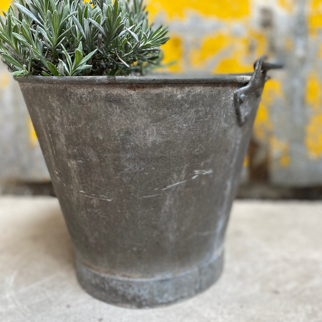 vintage galvanised bucket