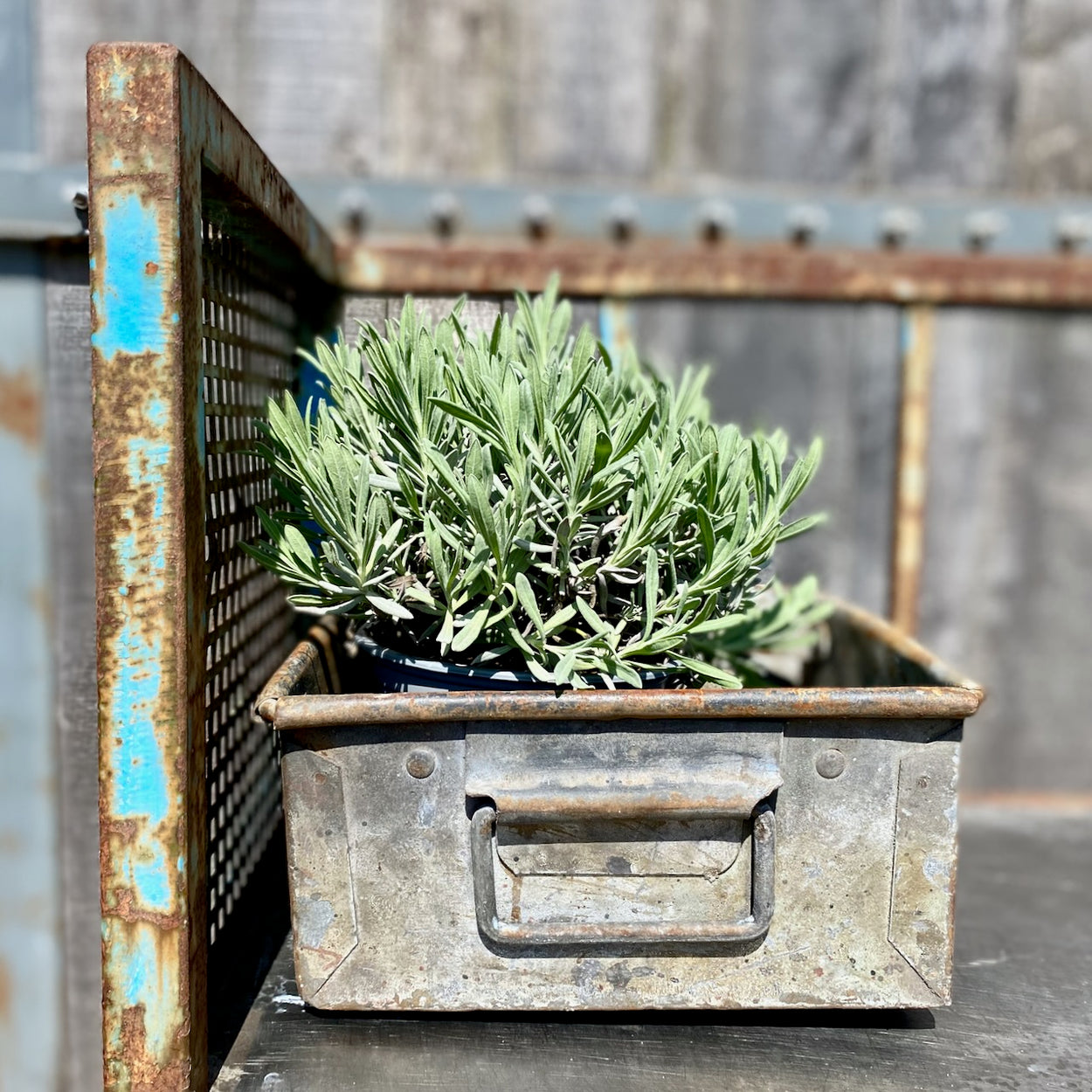 Industrial Factory Trolley 1
