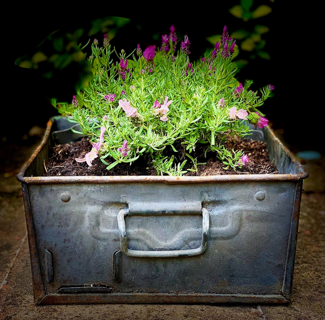Vintage Metal Tote Box