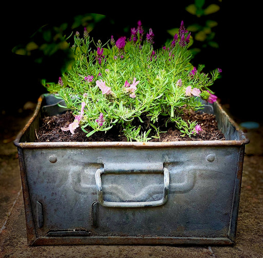 Vintage Metal Tote Box