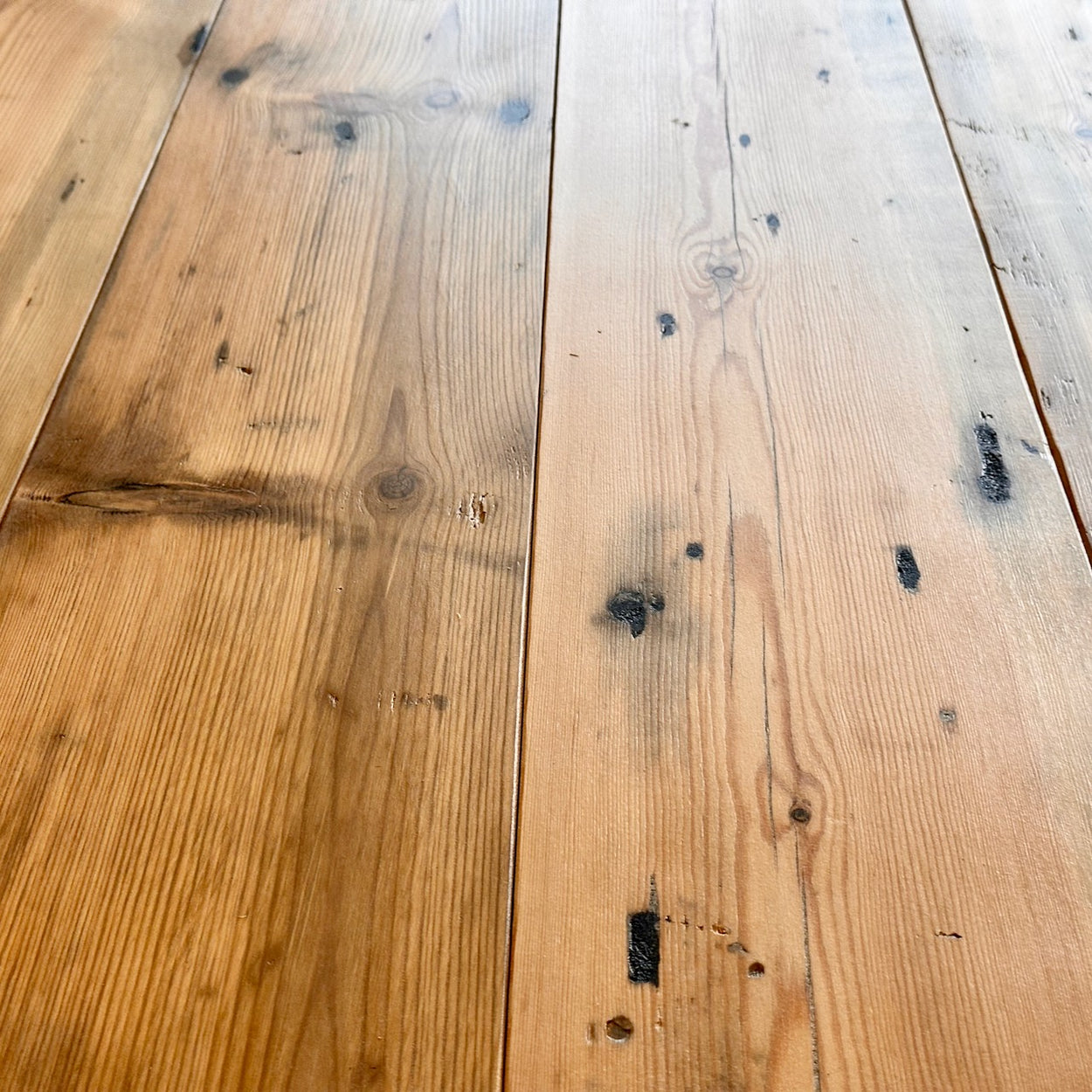 Norton Factory Boards Light