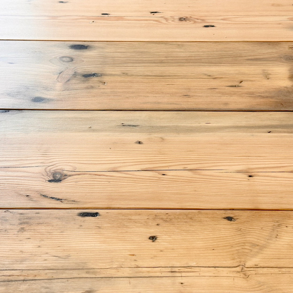 Norton Factory Boards Light