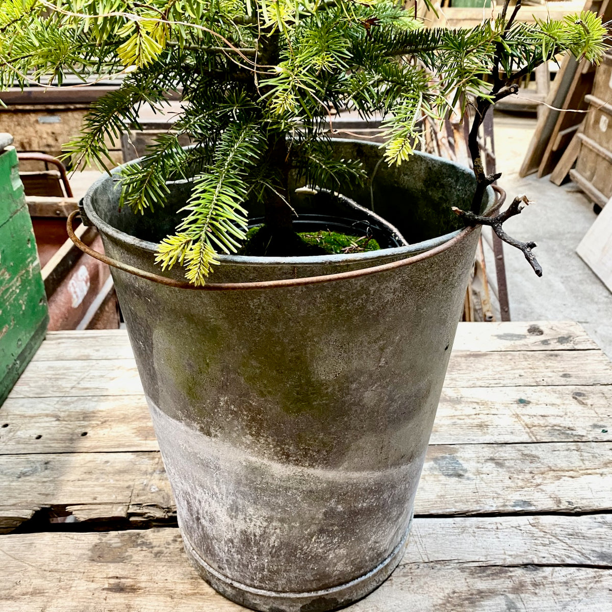 Rusty Plant Containers Galvanised Container with Rusty Wonky Handle — Lawson's Yard LTD