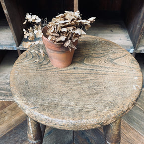 Antique Elm - Topped Wooden Stool