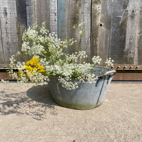 Oval Galvanised Bath/Planter