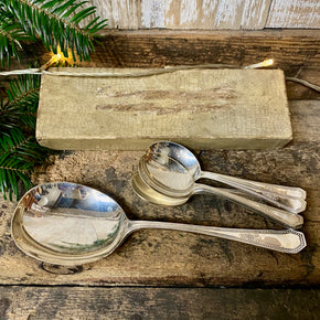 Set of Vintage Dessert Spoons with Serving Spoon