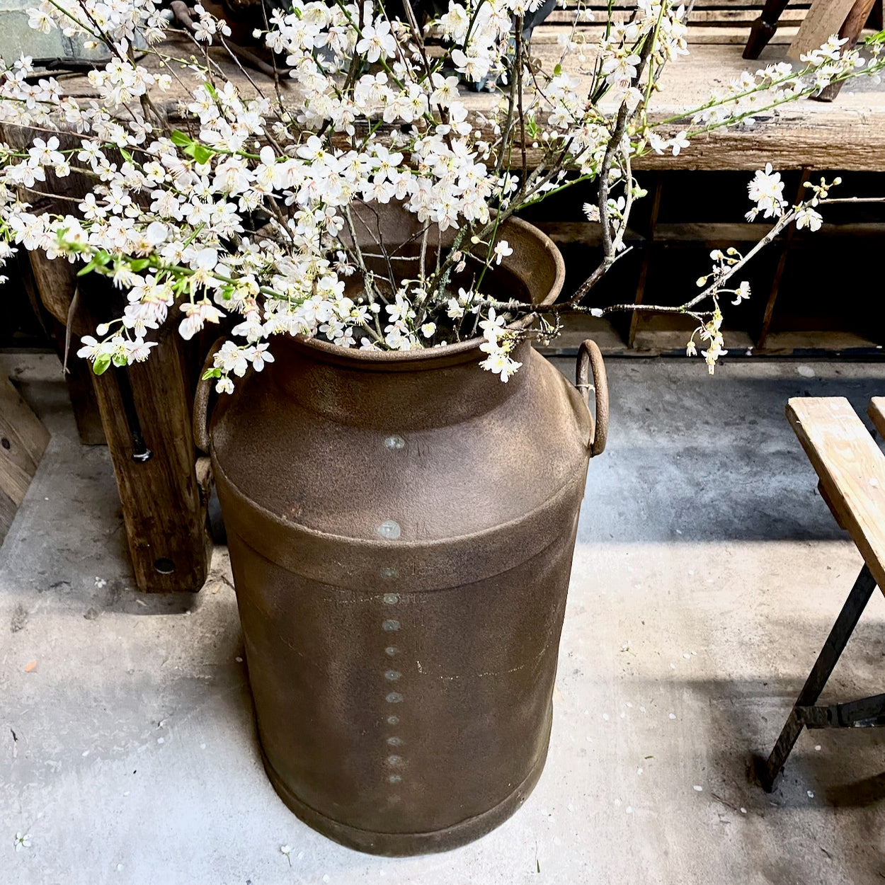 Large Vintage Rustic Milk Churn