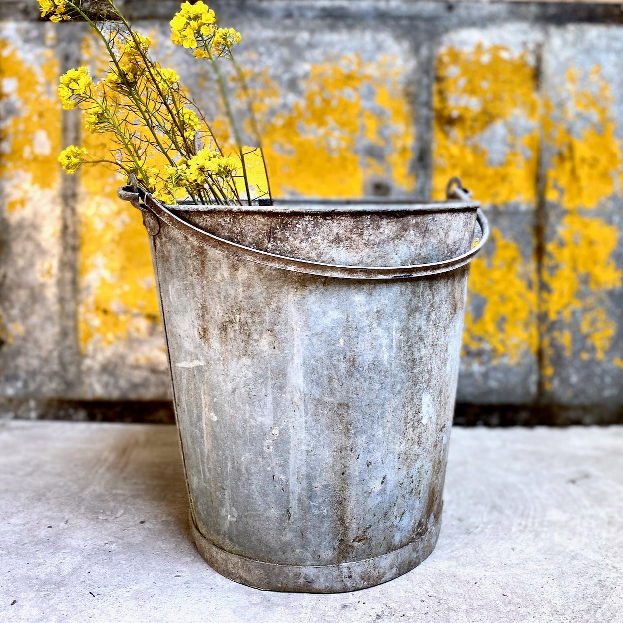 Pretty French Galvanised Bin