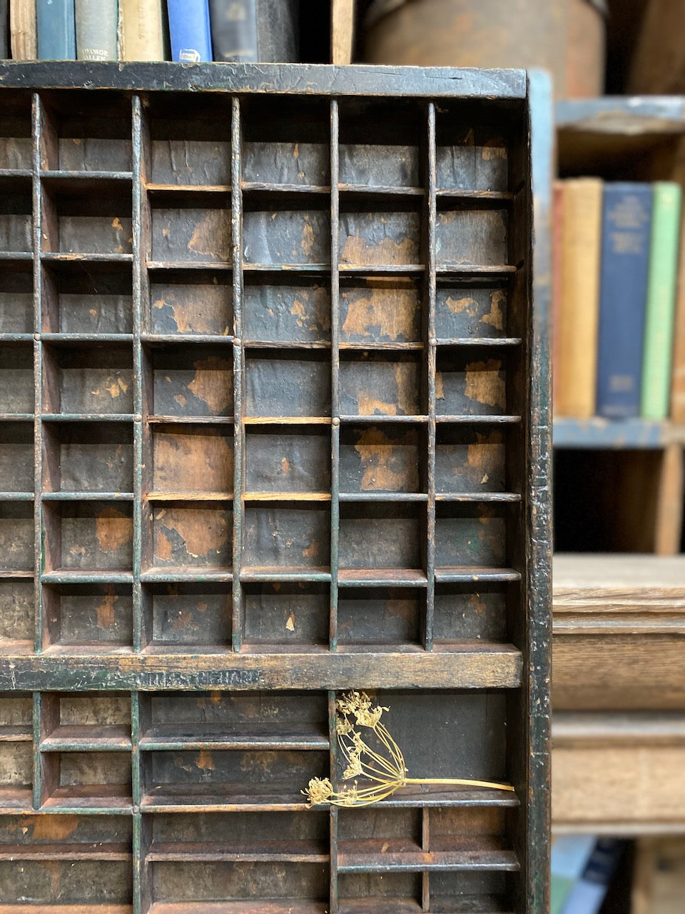 Vintage Printers Drawer