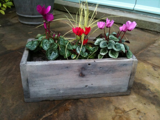 Reclaimed Plant Box